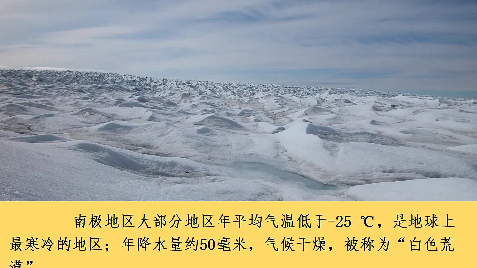17816553第8页