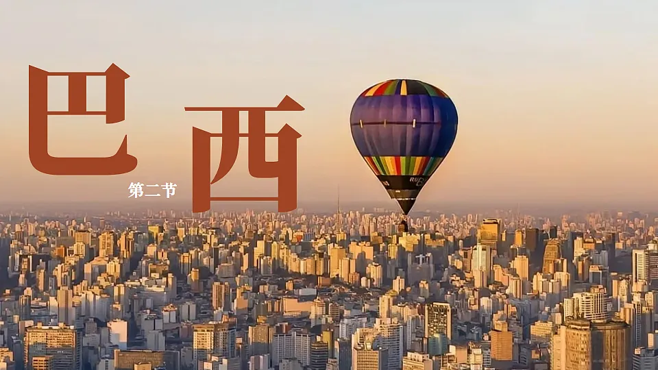 17816555第3页
