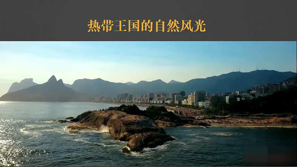 17816555第4页