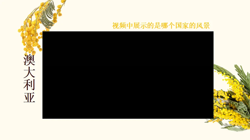17816557第3页