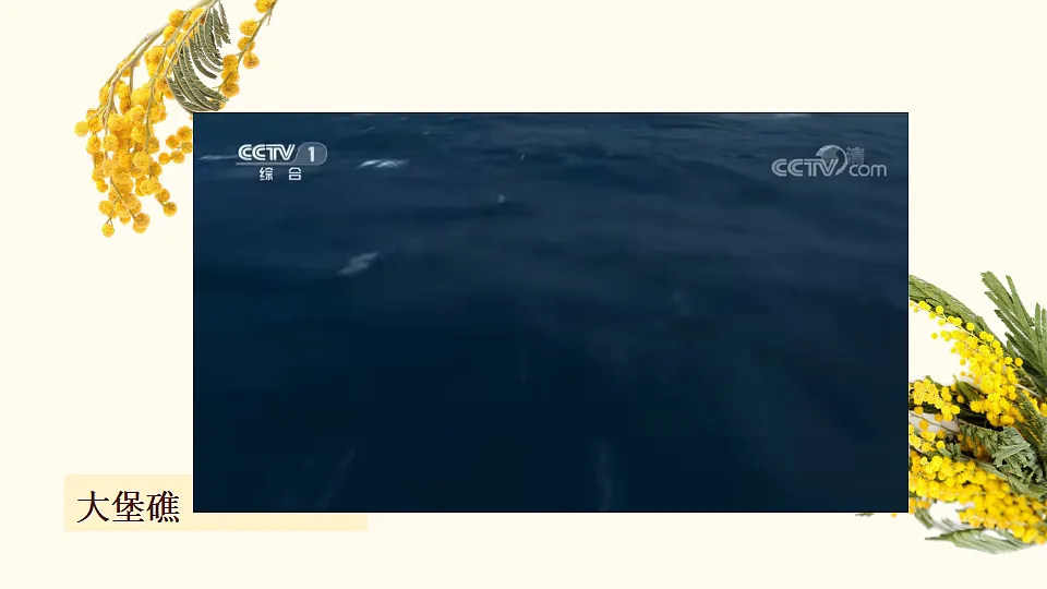 17816557第7页
