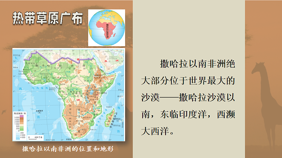 17816558第4页