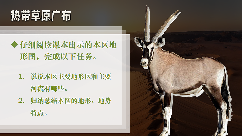 17816558第5页