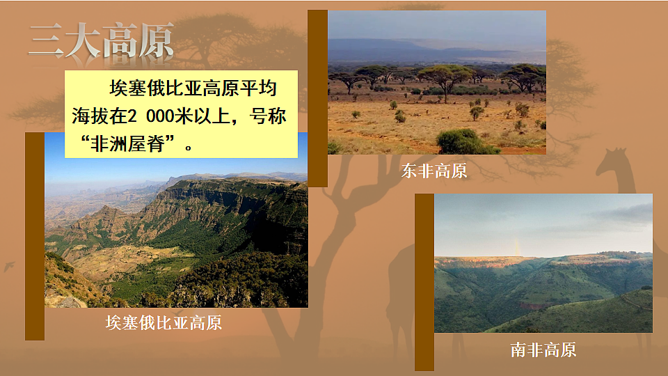 17816558第6页