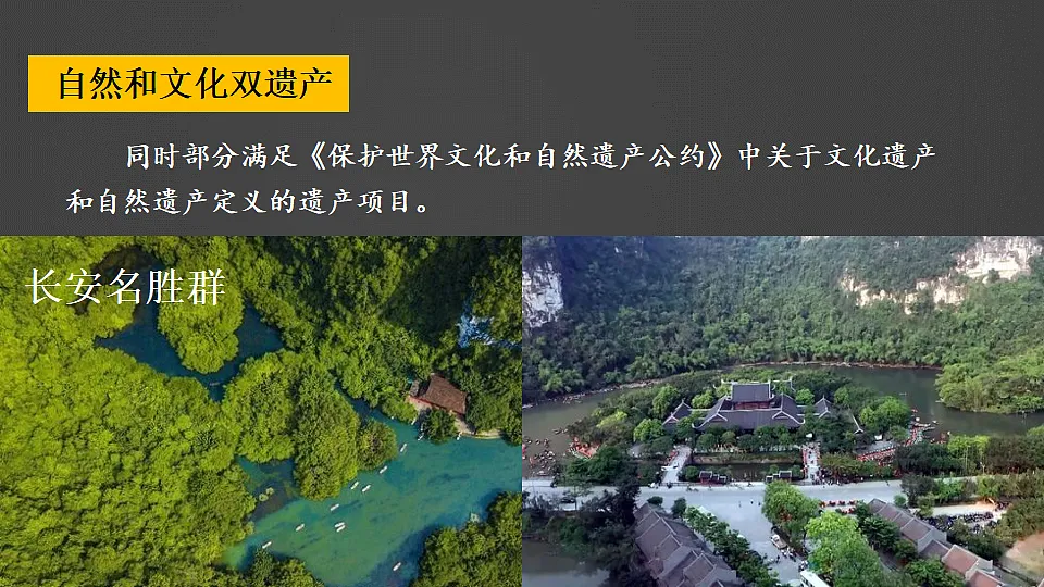 17816561第7页