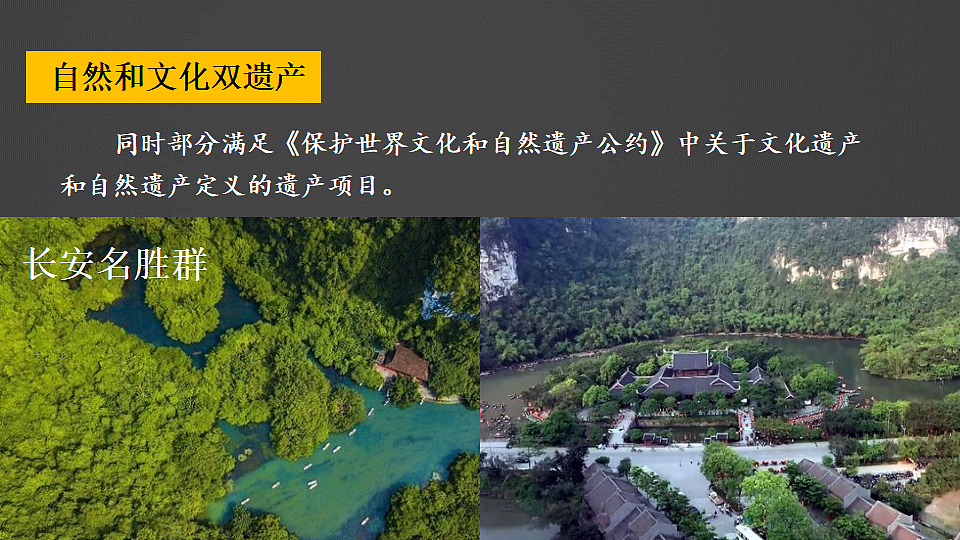 17816561第7页