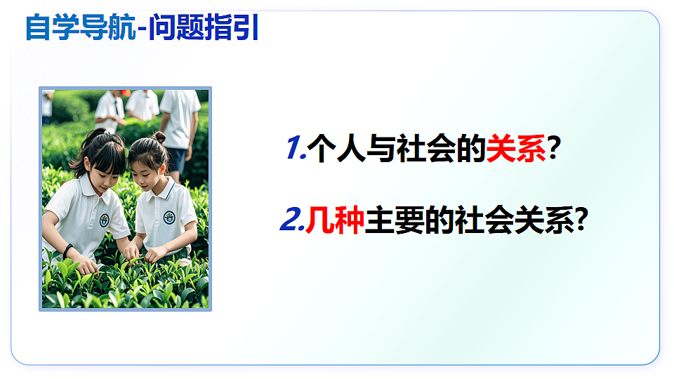 17816758第3页