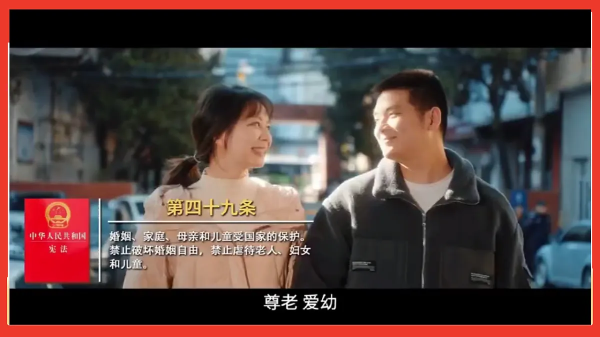 17816871第5页