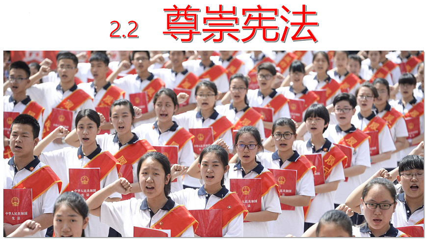 17816872第5页