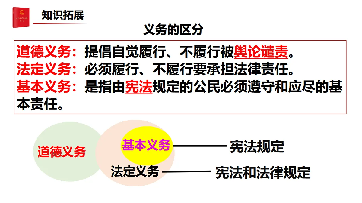 17816879第8页