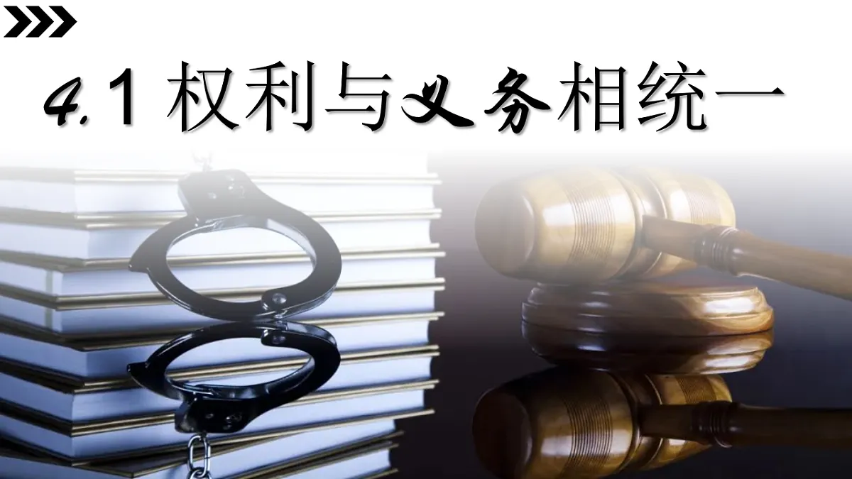 17816885第2页