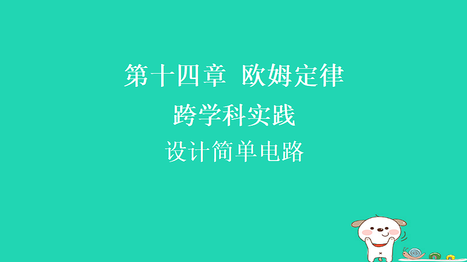 17817309第1页