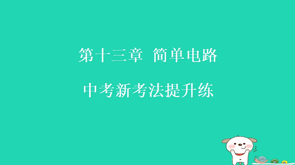 17817315第1页