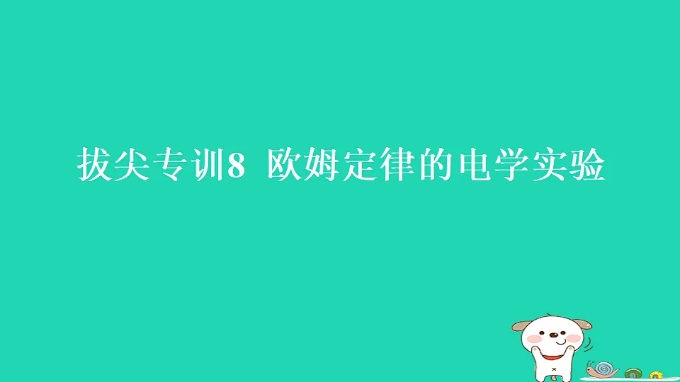 17817321第1页