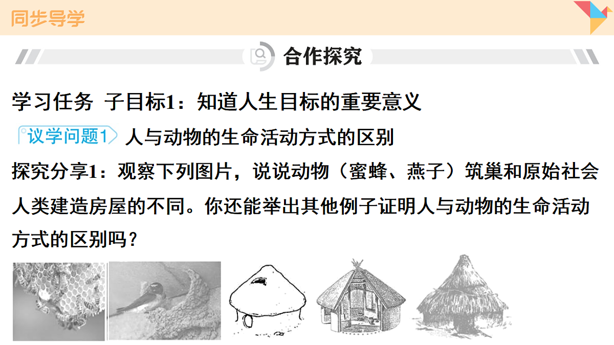 17817363第8页