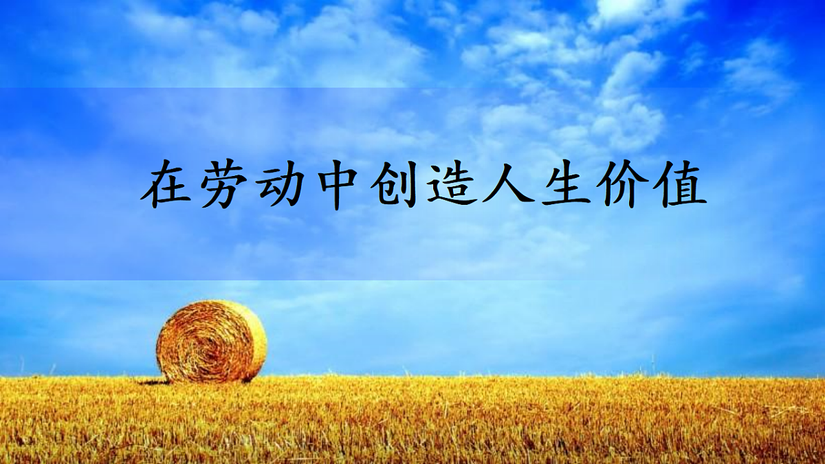 17817380第2页