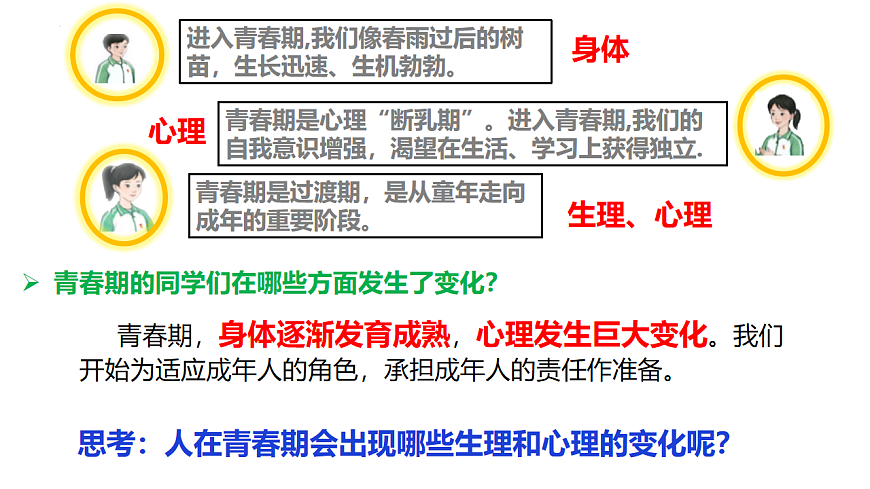 17817396第5页