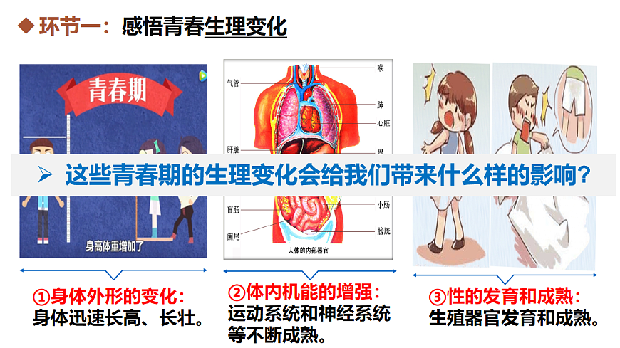 17817396第7页