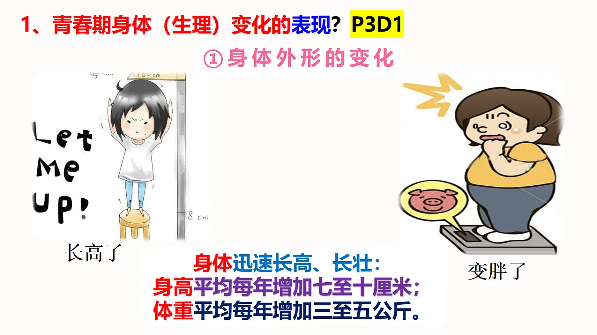 17817398第6页
