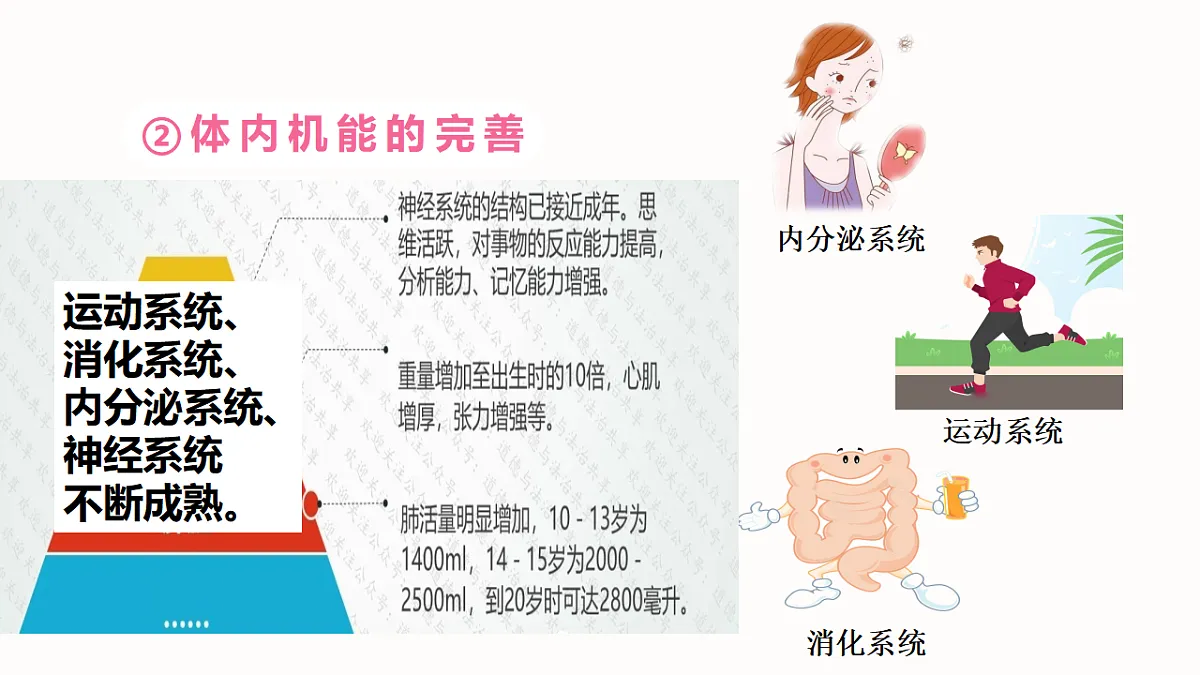 17817398第7页