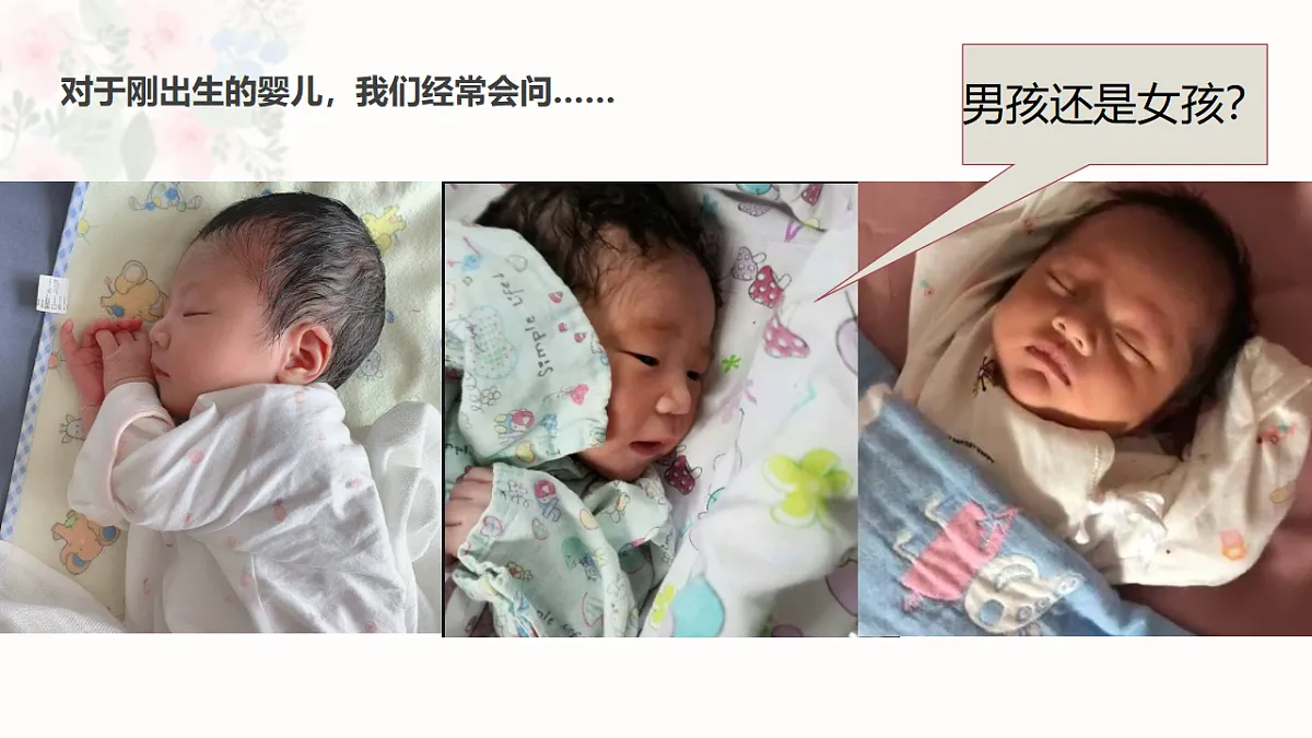 17817398第8页