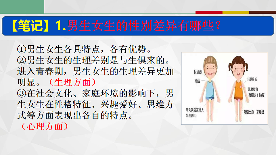 17817400第7页