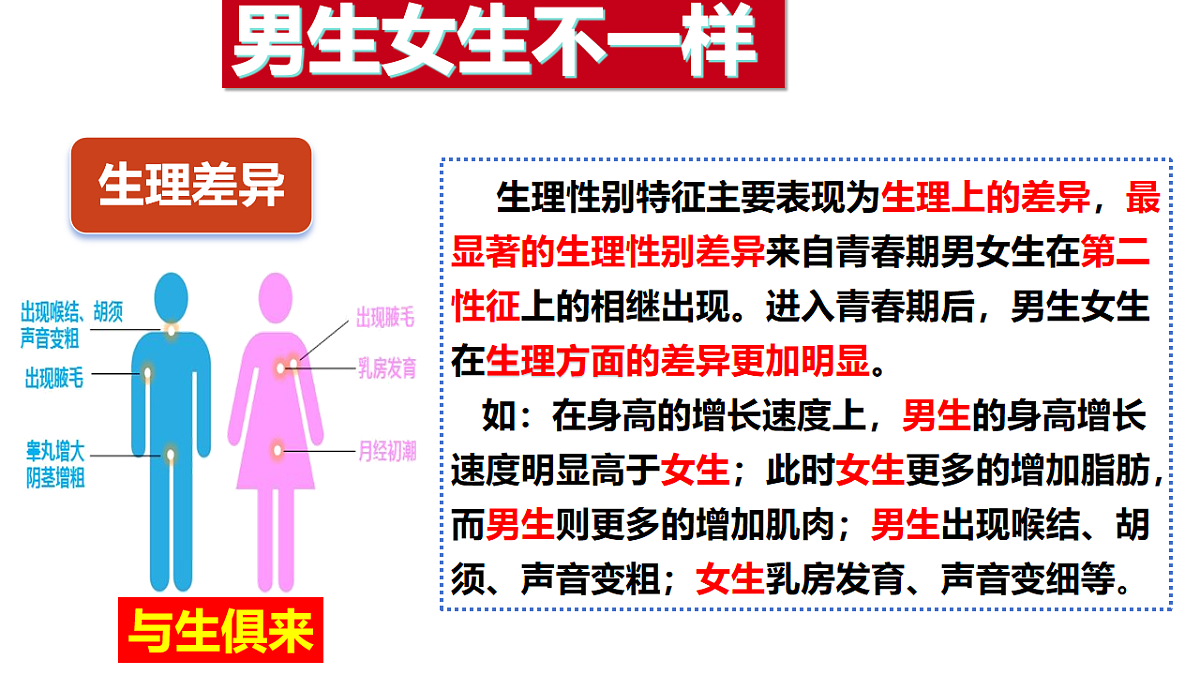 17817405第7页