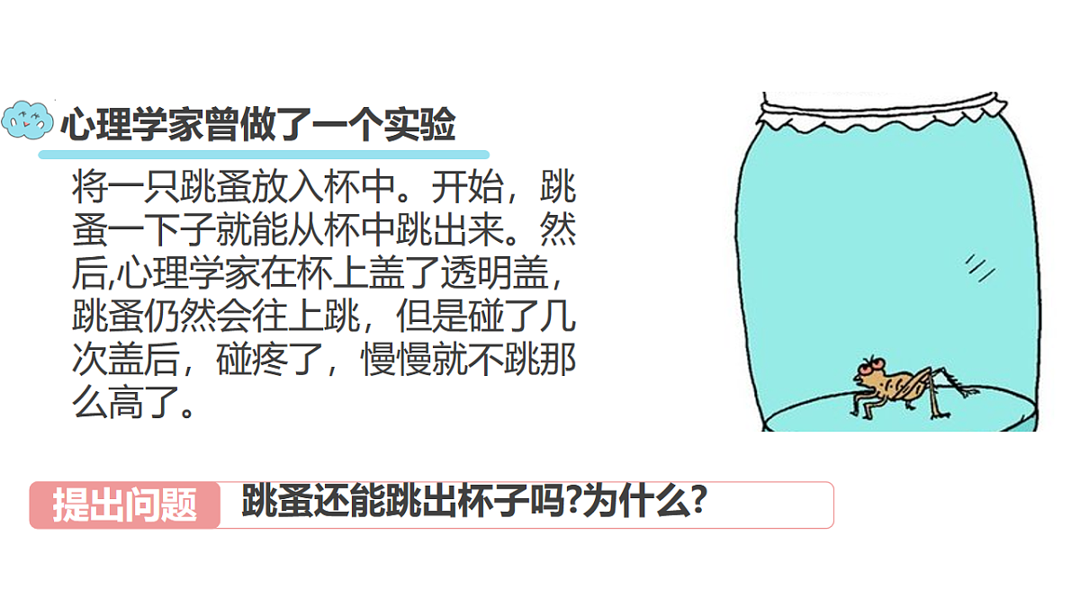 17817427第4页