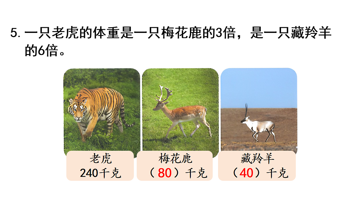 17817763第6页