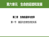 新人教版（2024）生物八年级下册 6.2.1 基因与生物性状的关系（课件+表格式教学设计）