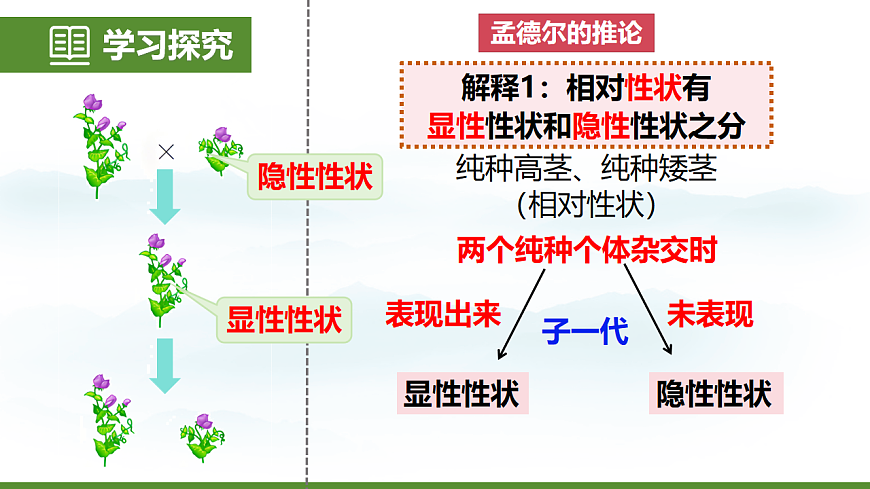 6.2.3 基因的显性和隐性 第6页