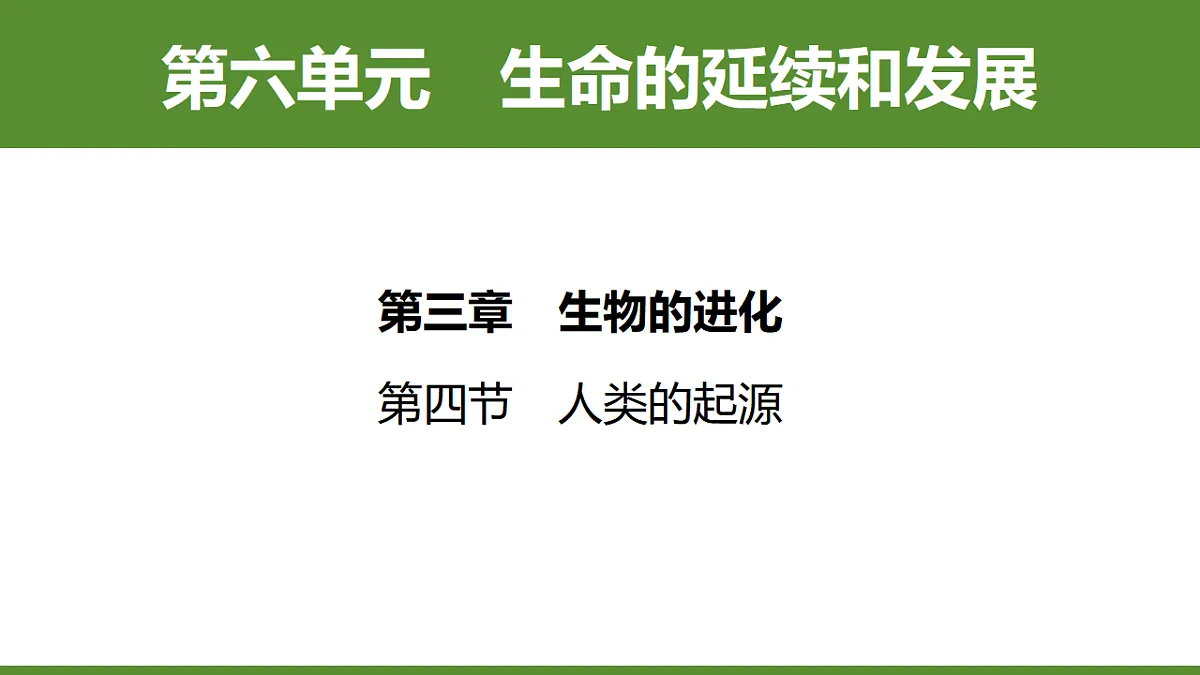 6.3.4 人类的起源 第1页