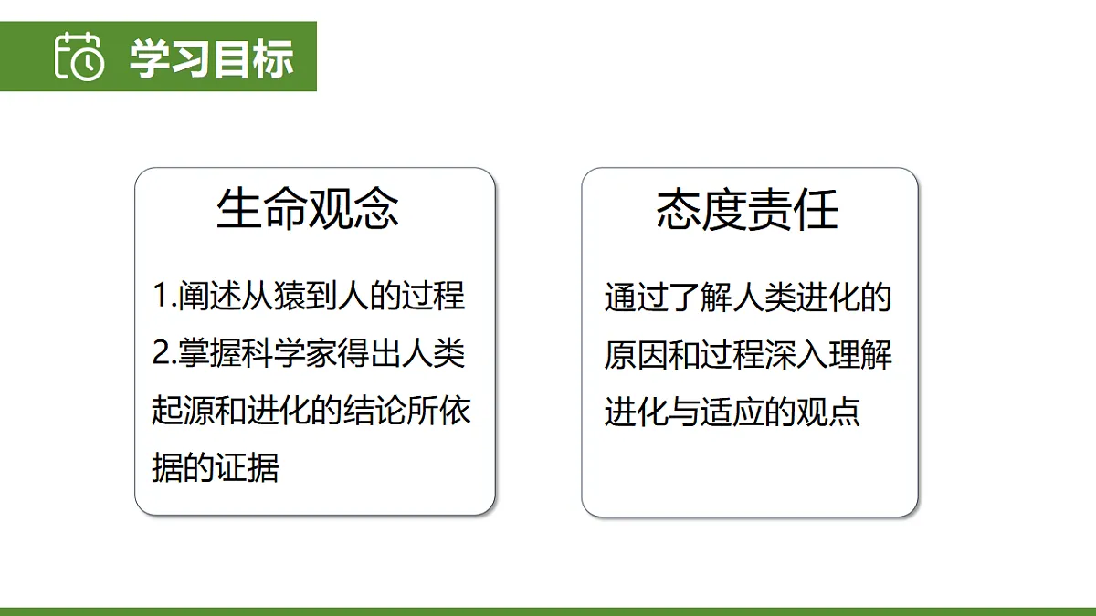 6.3.4 人类的起源 第2页