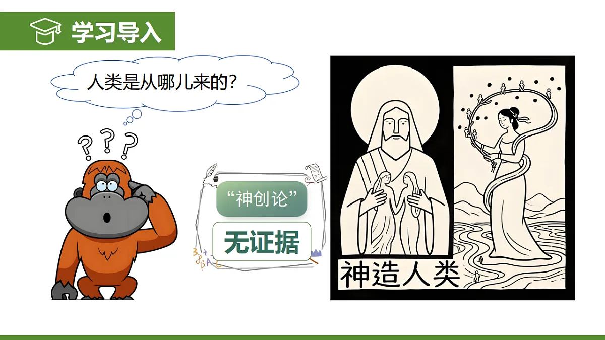 6.3.4 人类的起源 第3页