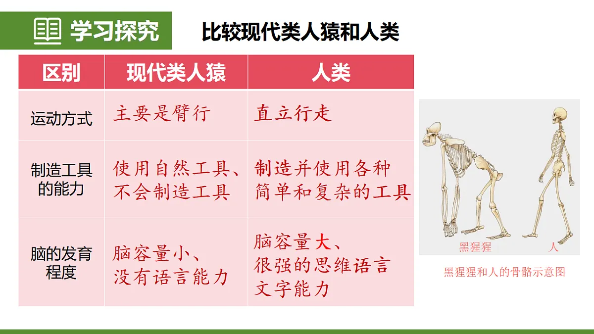 6.3.4 人类的起源 第6页