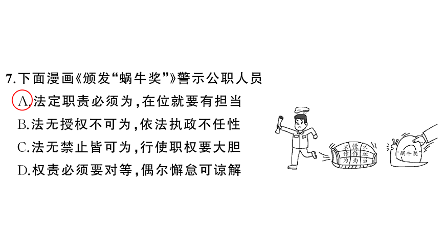 17818507第8页
