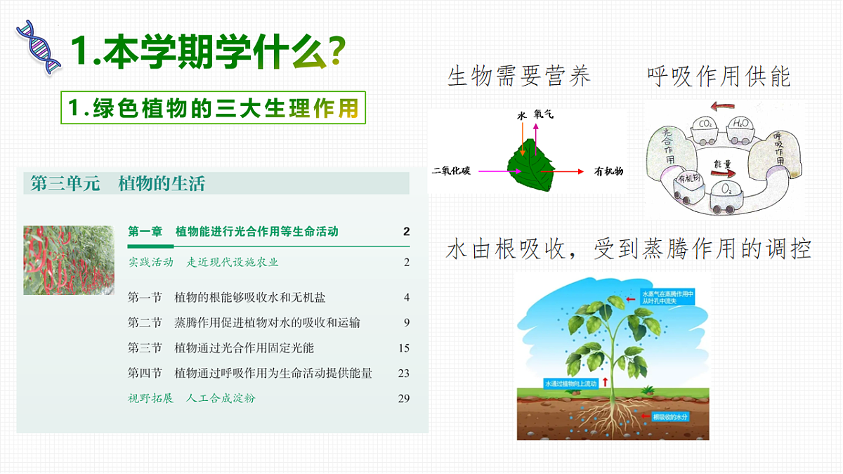 17818553第4页