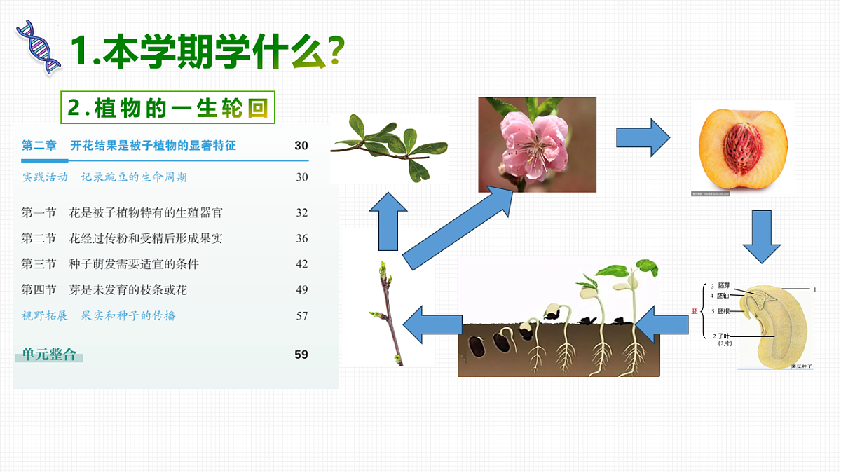 17818553第5页