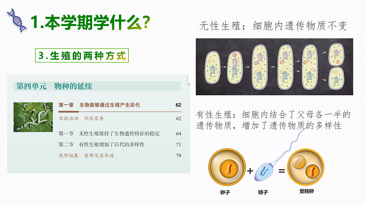 17818553第6页