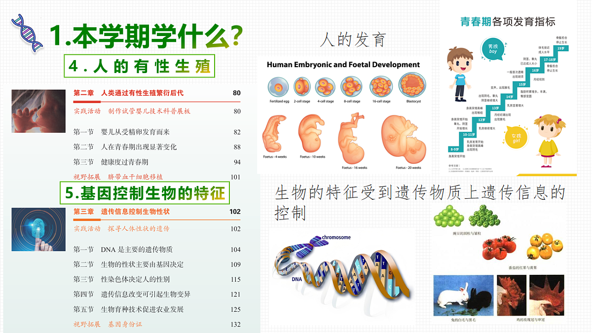 17818553第7页