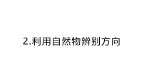 科学三年级下册（2024）2.利用自然物辨别方向作业ppt课件