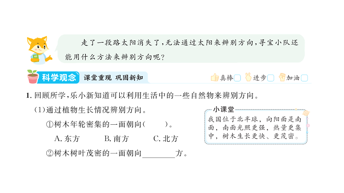17818559第2页
