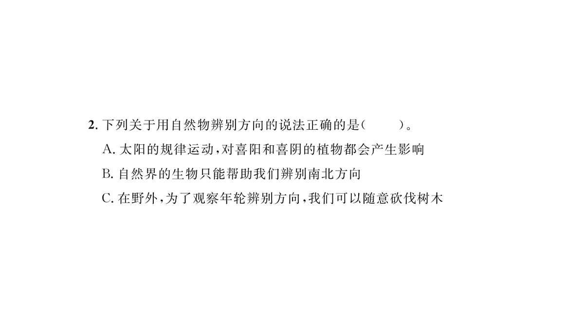 17818559第4页