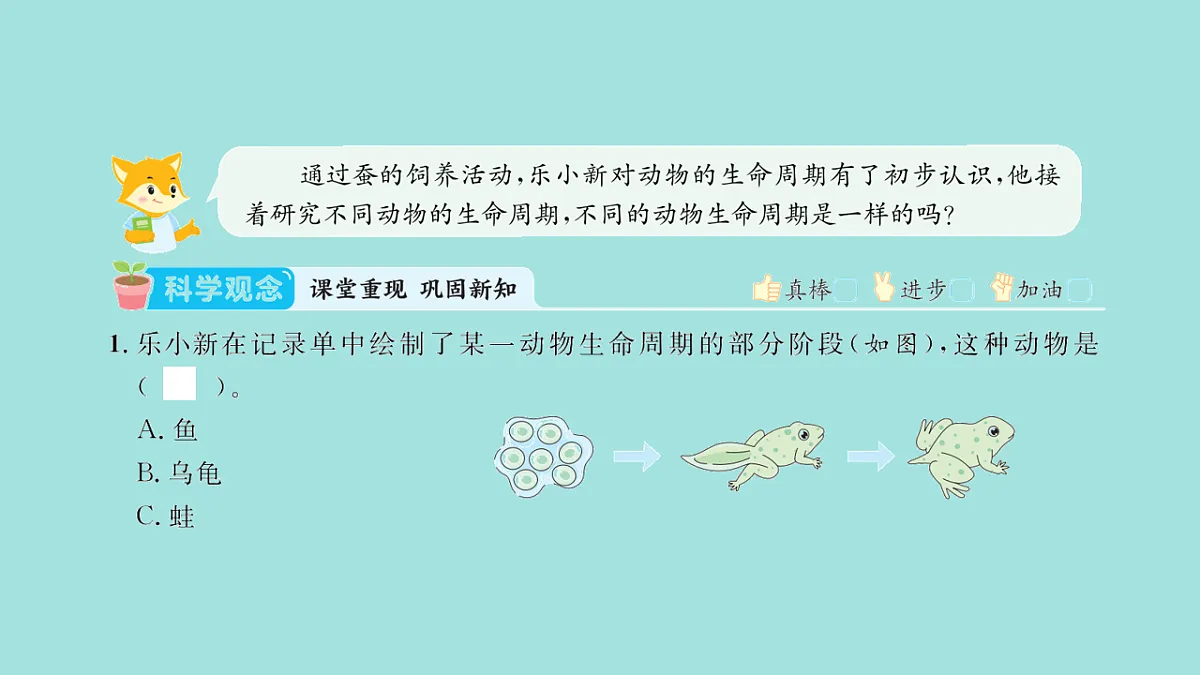 17818573第2页