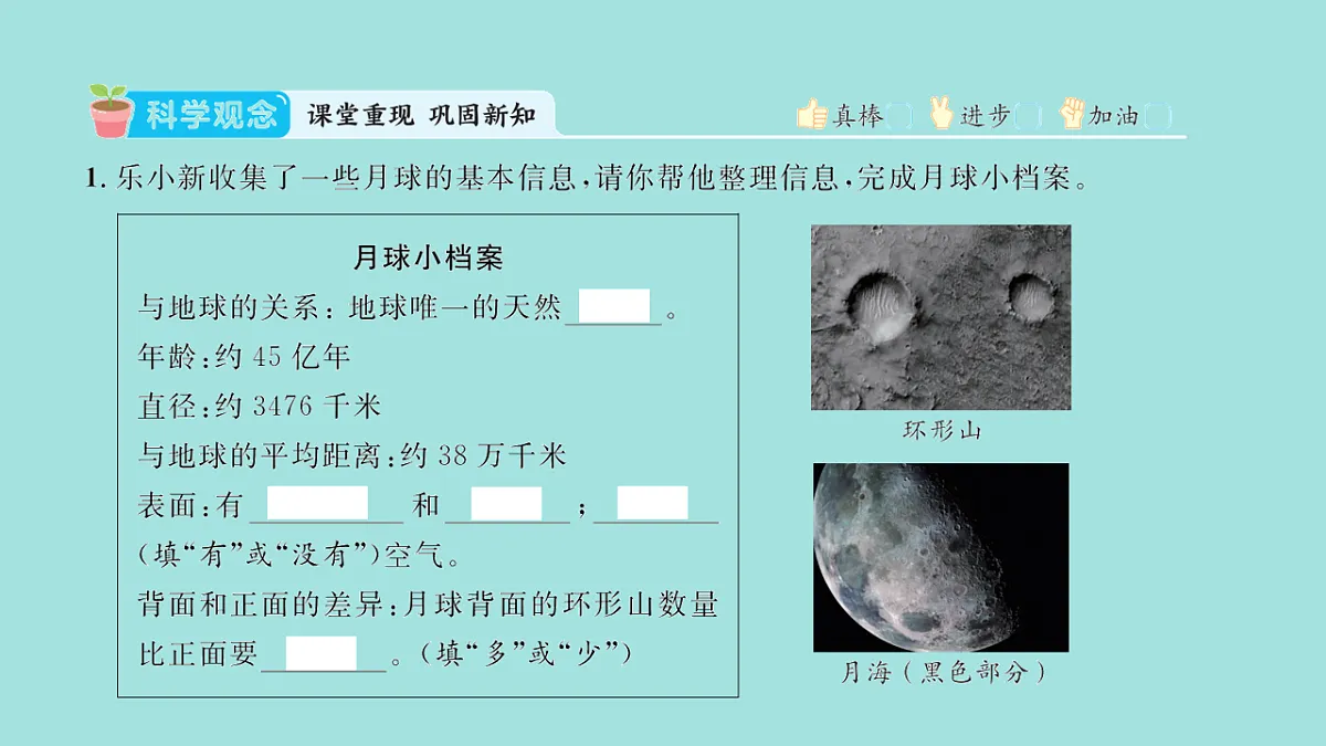 17818576第2页