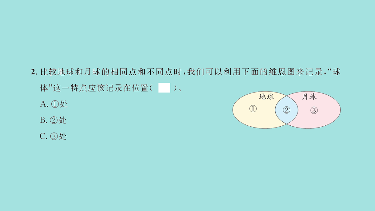 17818576第3页