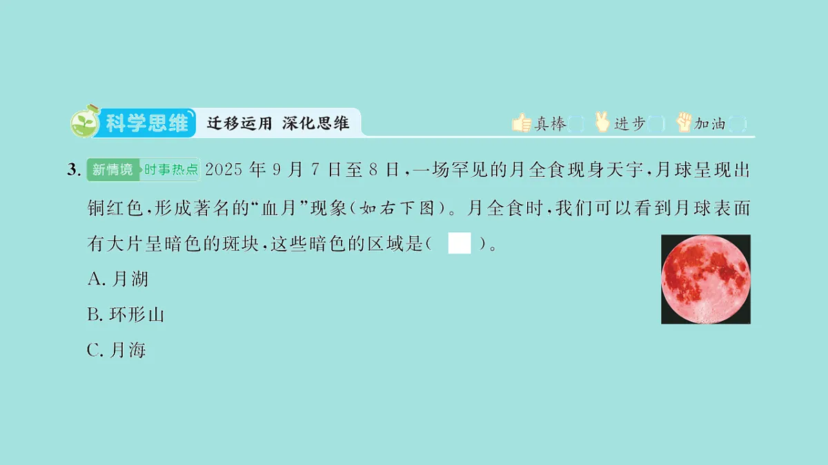17818576第4页