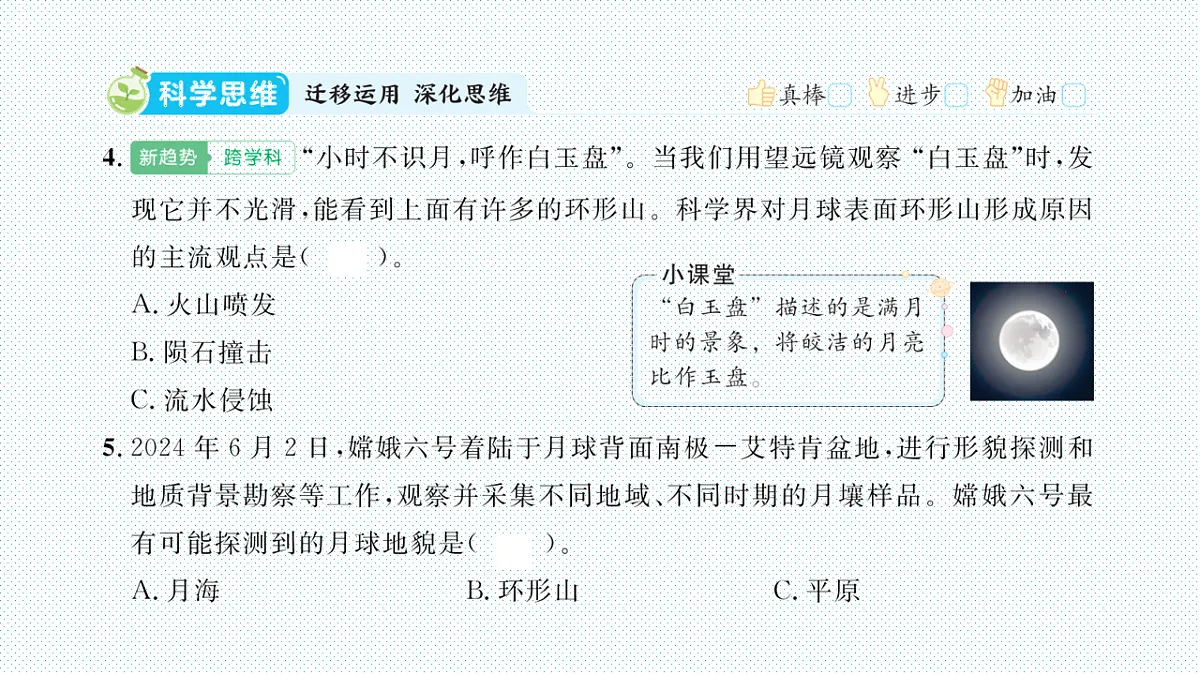 17818577第3页