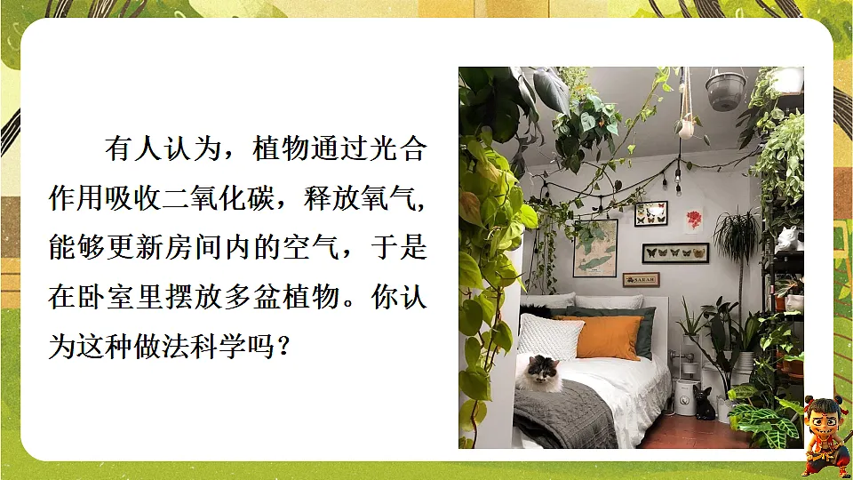 17818906第3页