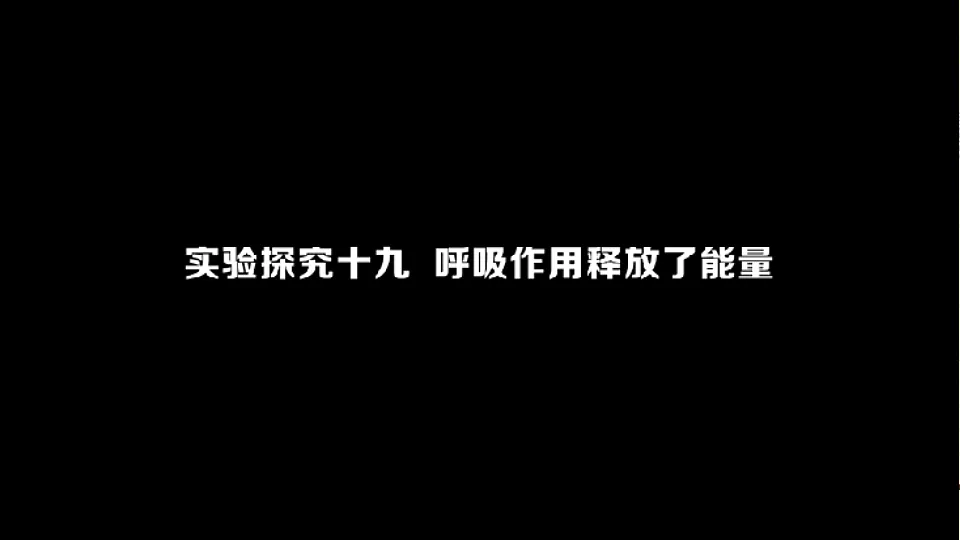 17818906第5页